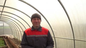 Посев ярового ячменя своими силами