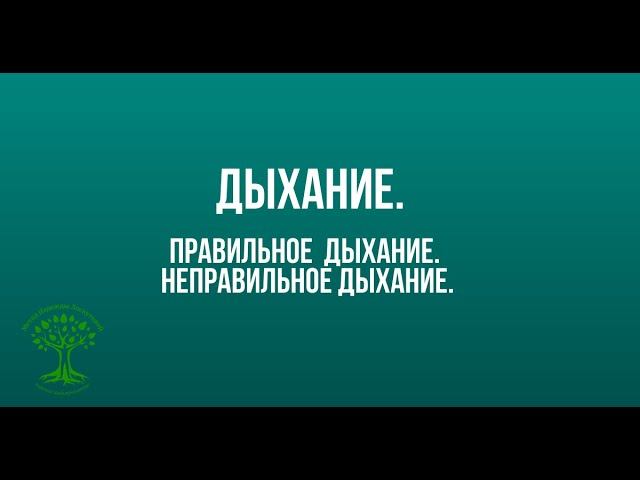 Дыхание по Лоскутовой. Правильное дыхание. Неправильное дыхание Диагностика . Упражнения. смотреть онлайн