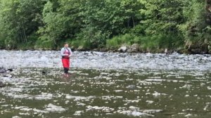 мотор 9.9 про водом