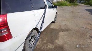 Простой способ чистки ремней безопасности.