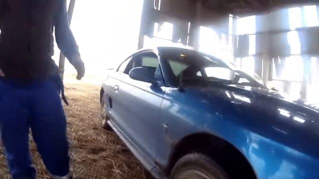 Обзор Ford Mustang 3.8 смотреть онлайн