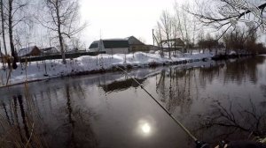 Мормышинг со спиннингом Basara Faktor 1 5.