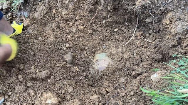 Treasure Hunting With Metal Detector! We Found Treasure With Gold Vision Metal Detector! смотреть онлайн