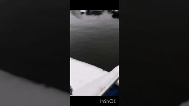 Лёд пришёл не жданно