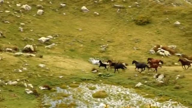 Mountains of Abkhazia | Горная Абхазия смотреть онлайн