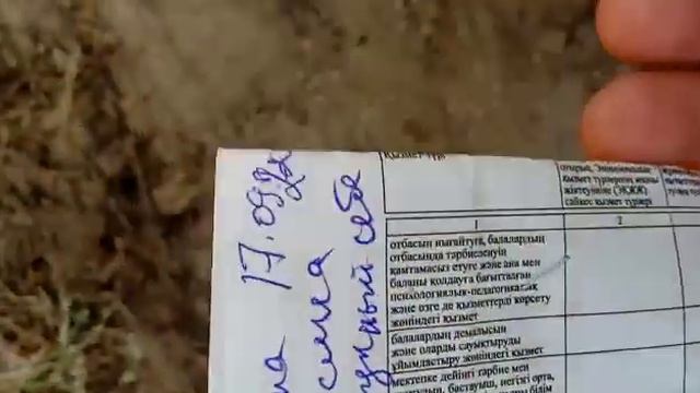 Малина сорт "Ясина"! Посадка семян в грунт. 29 сентября 2022 год. смотреть онлайн