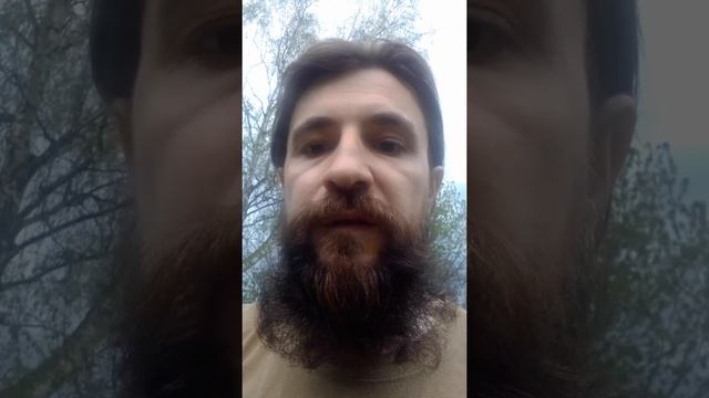 Обращение Николая Егорцева к патриарху Кириллу смотреть онлайн