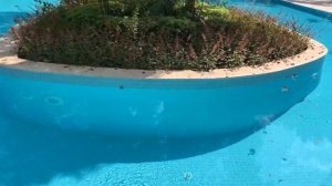 Mirada del Mar 5* Лучший обзор отеля! Качественная бюдженая пятерка Турция Кемер