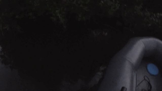 НОЧНАЯ РЫБАЛКА на СОМА ( РЖАВАЯ БЛЕСНА СПАСЛА СИТУАЦИЮ ) смотреть онлайн