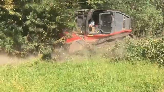 Расчистка дорожной полосы отвода