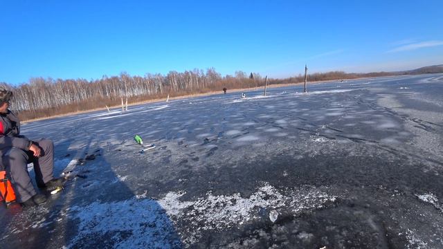 ЭТИ МОНСТРЫ ЖРУТ ВСЕ !!! смотреть онлайн