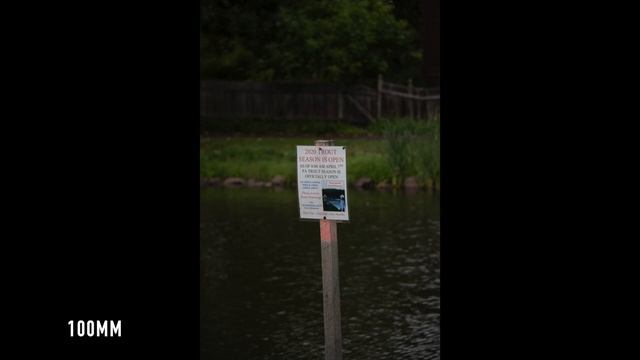 Sony 55-210mm Zoom Lens Review! Way Better Than I Thought! (Sony a6000) смотреть онлайн