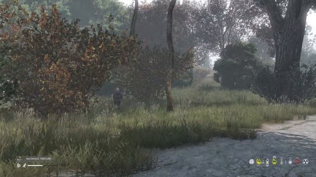 Multiplayer S.T.A.L.K.E.R. is Already Here - My First Tragic Life on STALKERZ (DayZ) смотреть онлайн