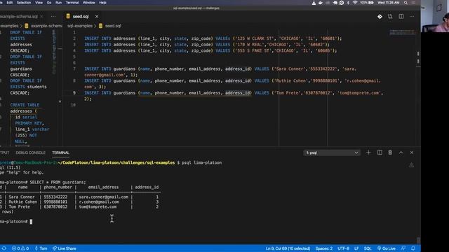 W4D3: SQL DB Schema Design, Seed Data, SQL Queries (2 of 2) смотреть онлайн