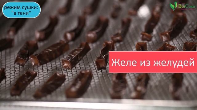 Как лучше сушить продукты в первом инфракрасном дегидраторе Lequip IR D5