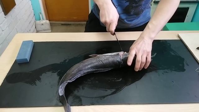 Голова сома ПРОБЛЕМА смотреть онлайн