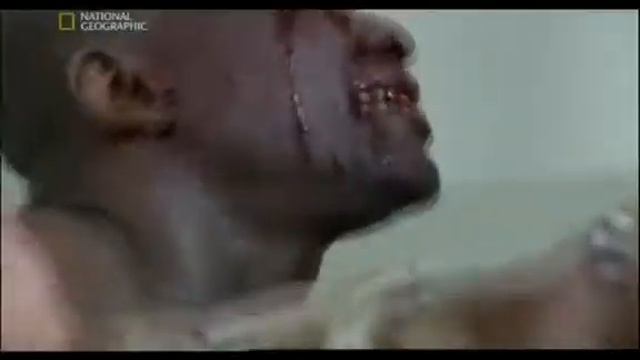 Эбола смотреть онлайн