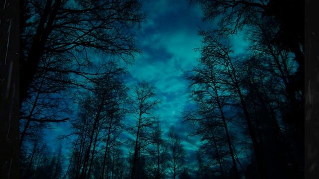 #ЧАСОВОЙ#ВЫСОЦКИЙ Владимир Семенович "В ТЕМНОТЕ". смотреть онлайн