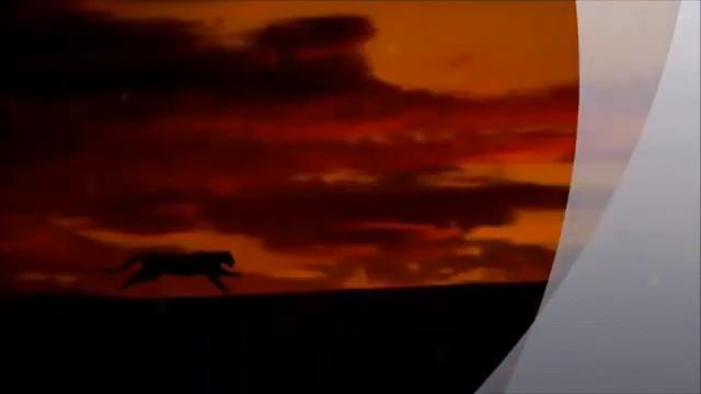 Сами лучший Арабские музыка 2019... смотреть онлайн