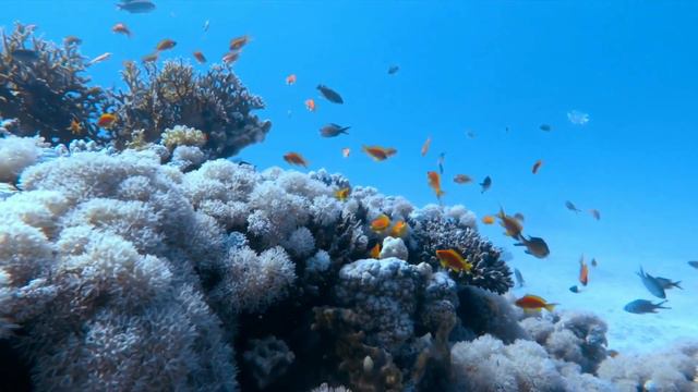TOP 10 BEST & MOST AMAZING BEAUTIFUL PLACES TO TRAVEL IN THE WORLD | VISIT | STUNNING | VIDEO 2023 смотреть онлайн
