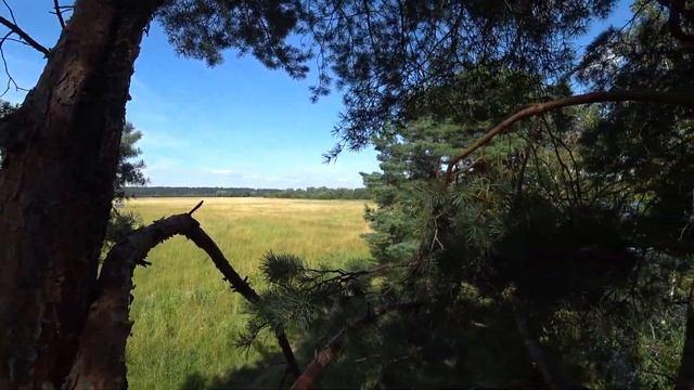 Приехали на остров. Подмосковный заповедник Лохин остров смотреть онлайн