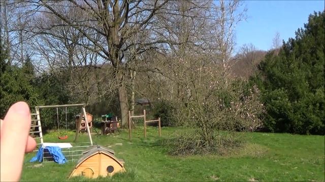 Кролики, коты и морские свинки. Как у вас дела? Декоративный кролик уход и кормление, кролиководств смотреть онлайн