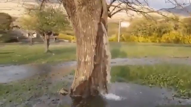 Вы не поверите но этот Достопримечательность находится в Черногории. смотреть онлайн