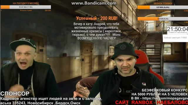Возмущенная чаечка от мопса смотреть онлайн
