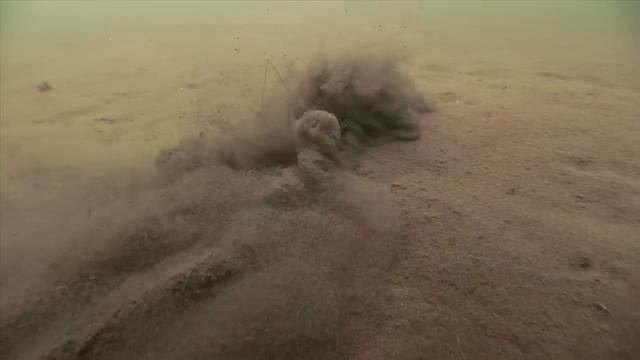 Hook n' Look Splash #12 - Bottom Silt смотреть онлайн