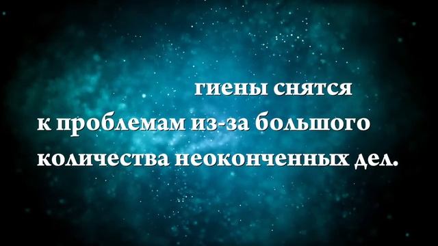 К чему снятся гиены - Онлайн Сонник Эксперт смотреть онлайн