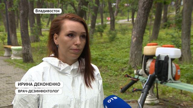 Владивосток избавляют от клещей смотреть онлайн