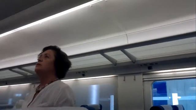 Скоростной поезд 