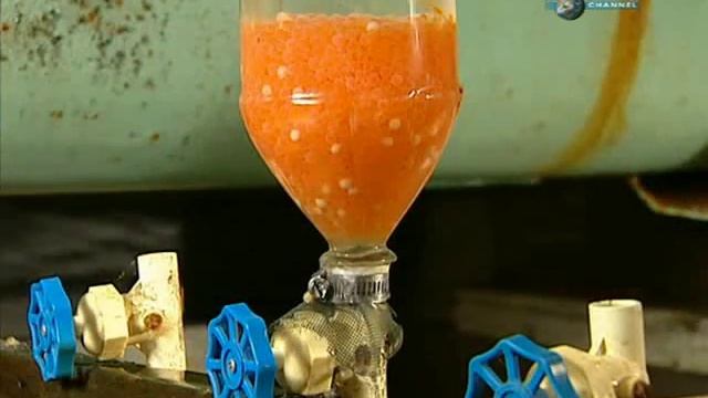 Искусственное разведение форели смотреть онлайн