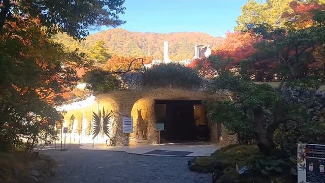 Japan Travel Vlog | Mt. Fuji | Japan Autumn Leaves | Lake Kawaguchi | Michelin three star art museu смотреть онлайн