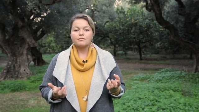 Что дает оливковое масло для пользы организма | 16+ смотреть онлайн