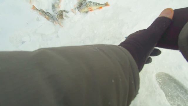 Вопреки прогнозам смотреть онлайн