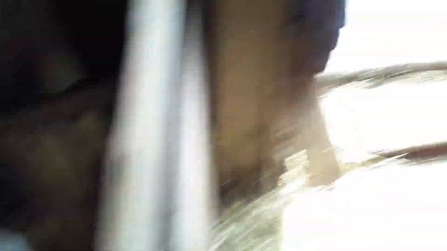 Забор крови у быка смотреть онлайн