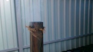 Дымогенератор на естественной тяге. Опытный образец.