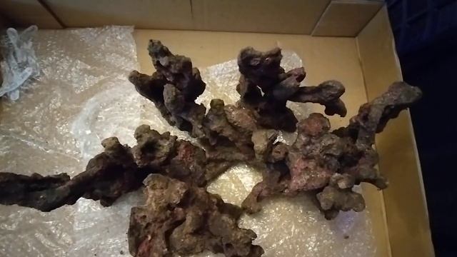 New Scape 2 смотреть онлайн