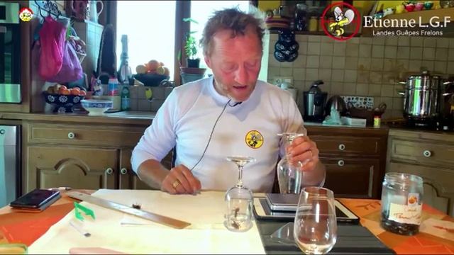 Разница в весе и размерах королев шершней. Охотник на Шершней смотреть онлайн