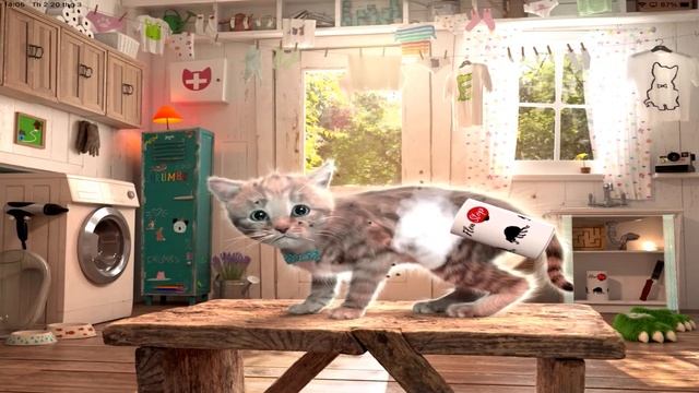 FUN LITTLE KITTEN ADVENTURE - Little Kitten Adventures - Play Fun Cute Kitten Pet Care Learning #12 смотреть онлайн
