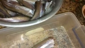 Вяленая путассу