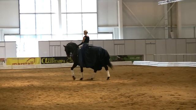 КЮР Иванова Анна- Бельведер КрокусСити ЭквиФорум смотреть онлайн