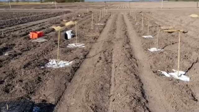 Propuesta huerta mezquites смотреть онлайн