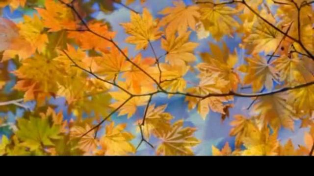 Осень осень осень снова к нам пришла+- смотреть онлайн