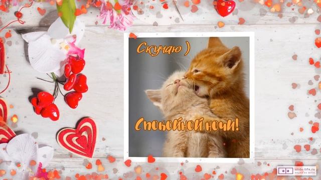 Видео пожелания спокойной ночи любимой. [Скачать бесплатно] смотреть онлайн