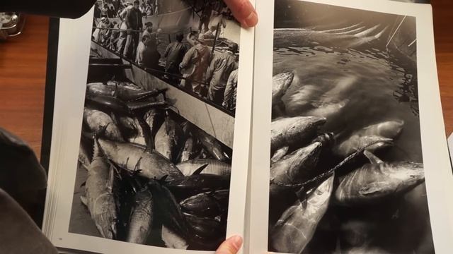 Sebastião Salgado смотреть онлайн