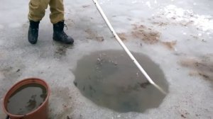 Добыча мотыля  Зимой