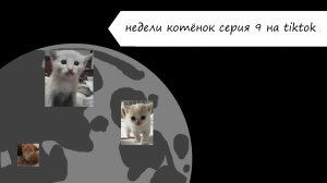 Недели котёнок серия 9 на tiktok