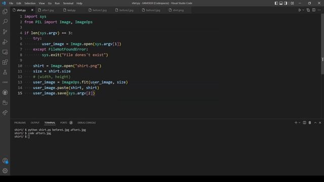 CS50P Shirt -Problem Set 6 (CS50's Introduction to Programming with Python) смотреть онлайн